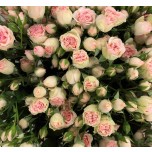Пионовидные кустовые розы 4